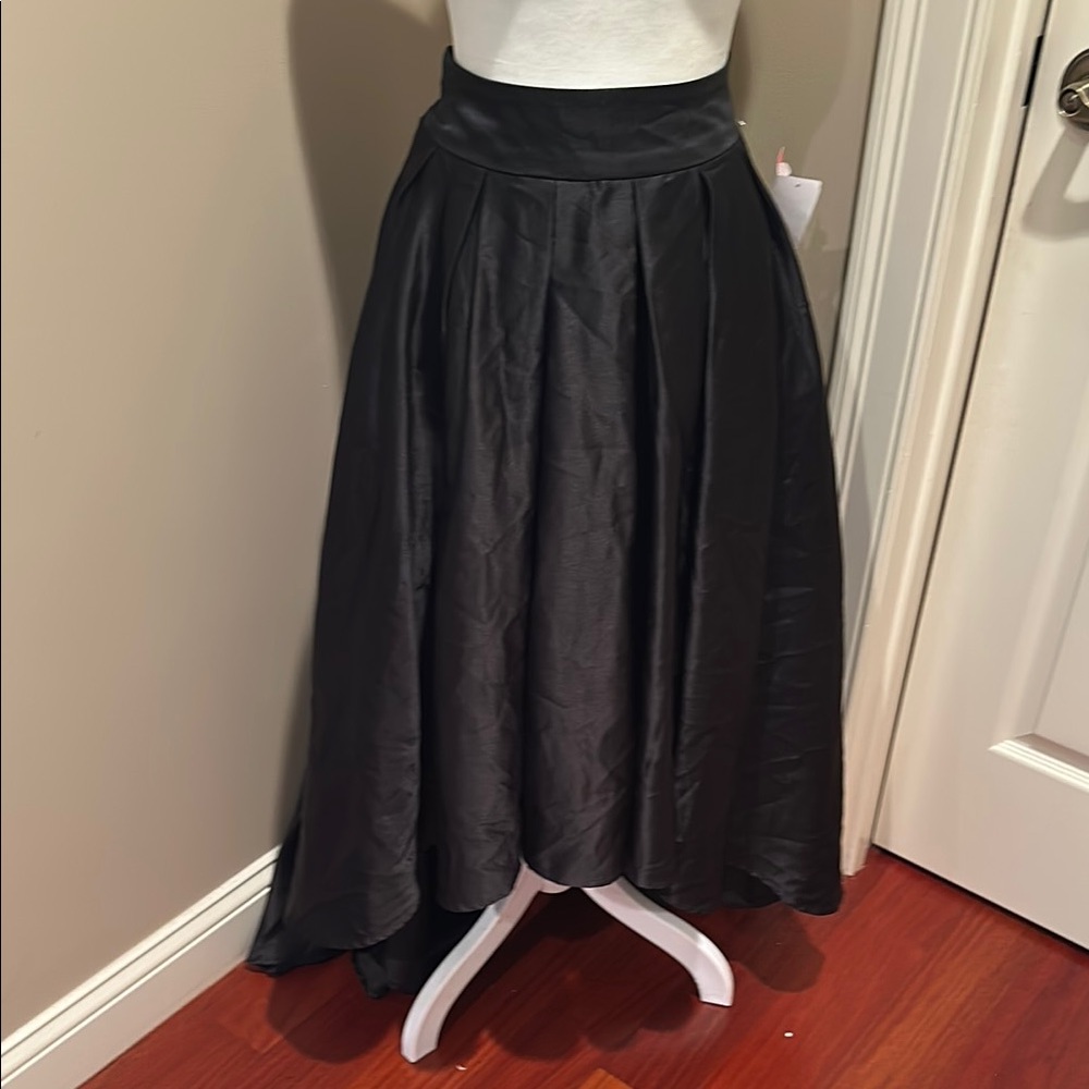 Elegant Black Women's Skirt